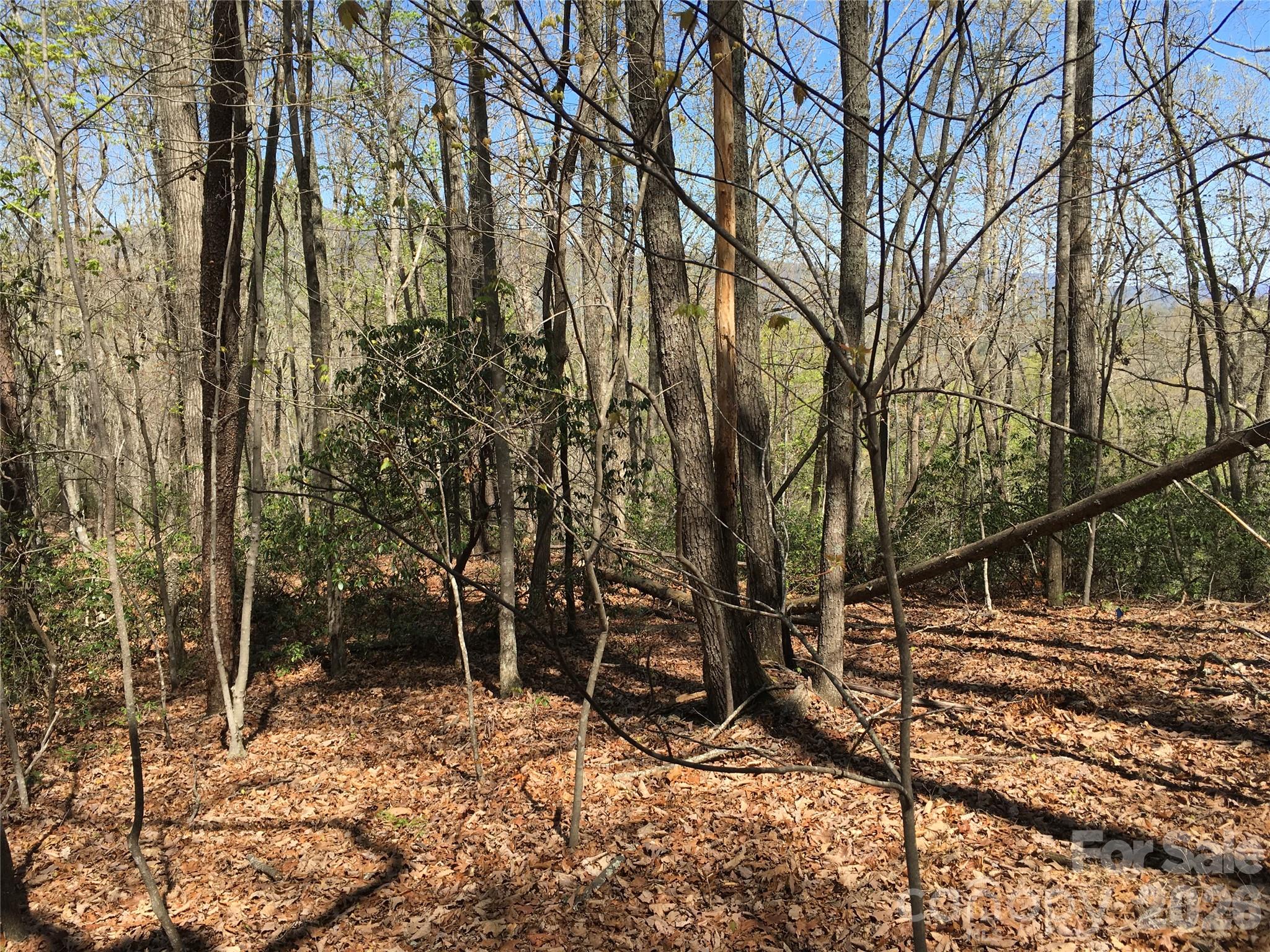 0 Lytle Mountain Road Marion, NC 28752 - Photo 10 of 43 a view of a yard with large trees