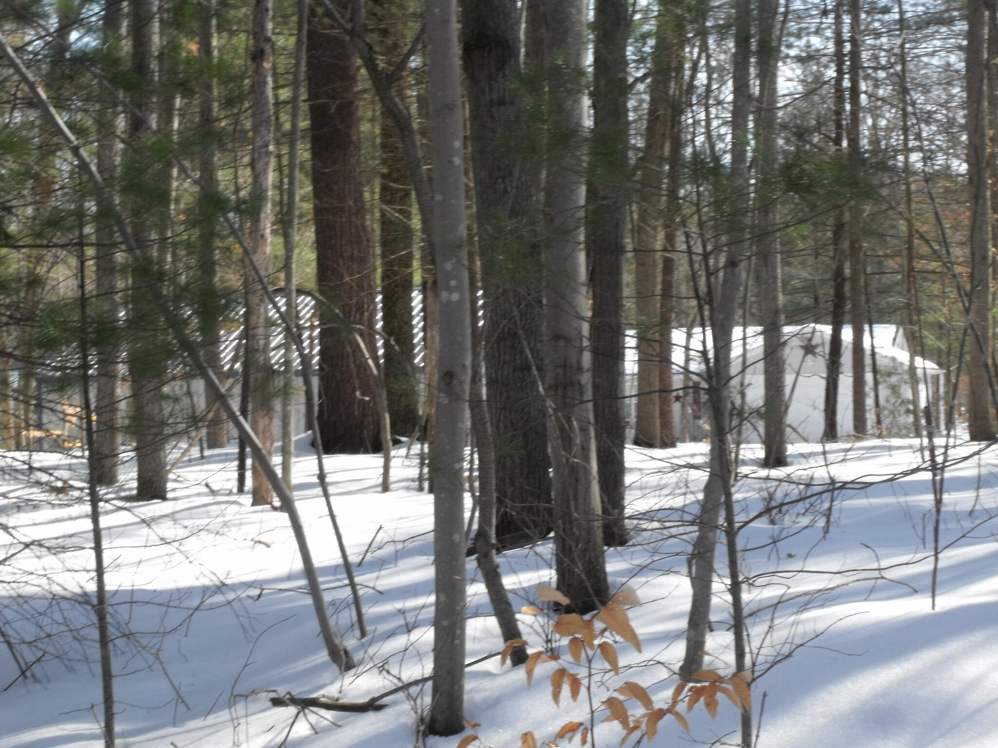 17145 Old Logging Road Hersey, MI 49639 - Photo 39 of 39 DSCF9348