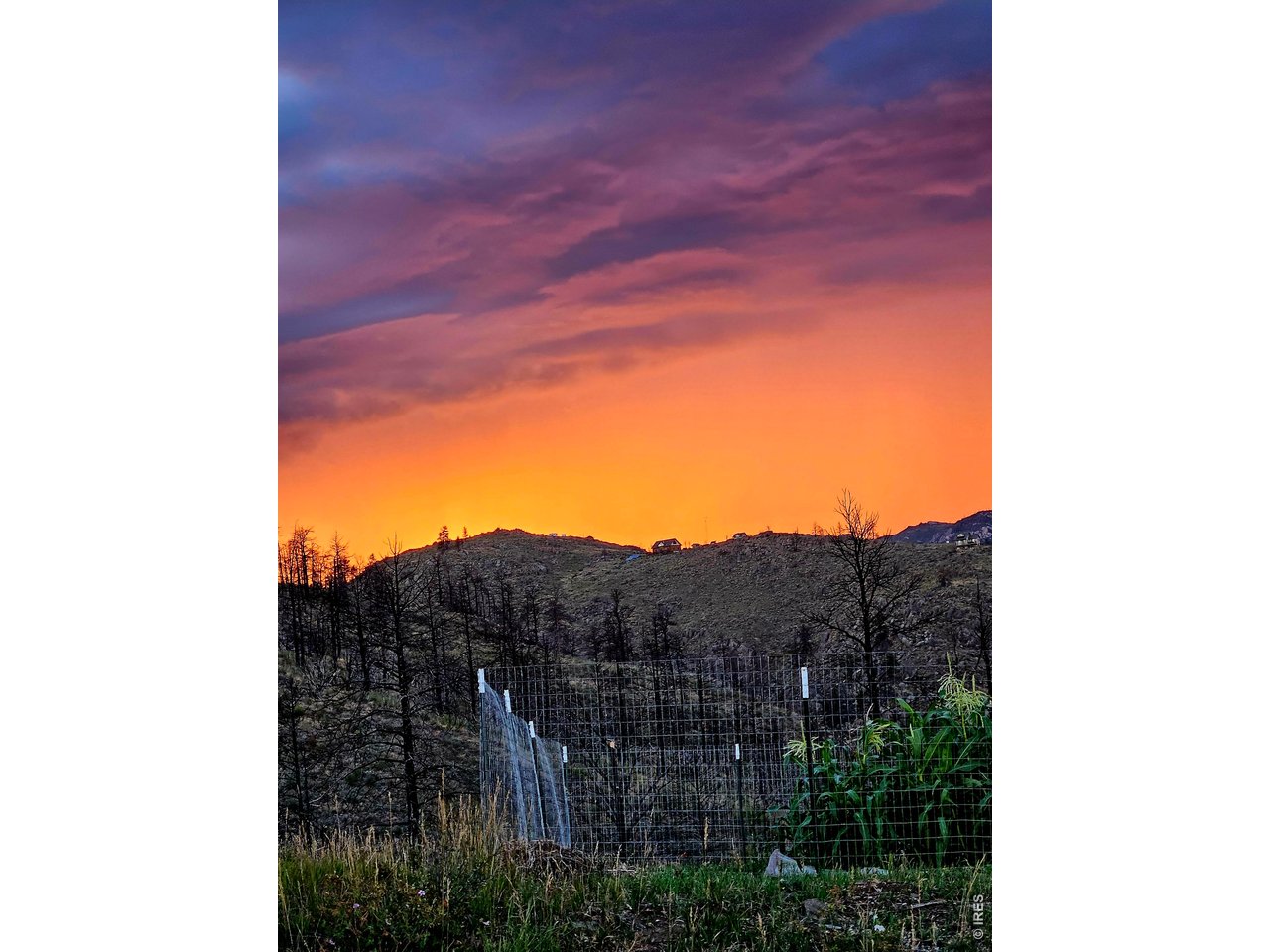 957 Stringtown Gulch Road Bellvue, CO 80512 - Photo 15 of 17