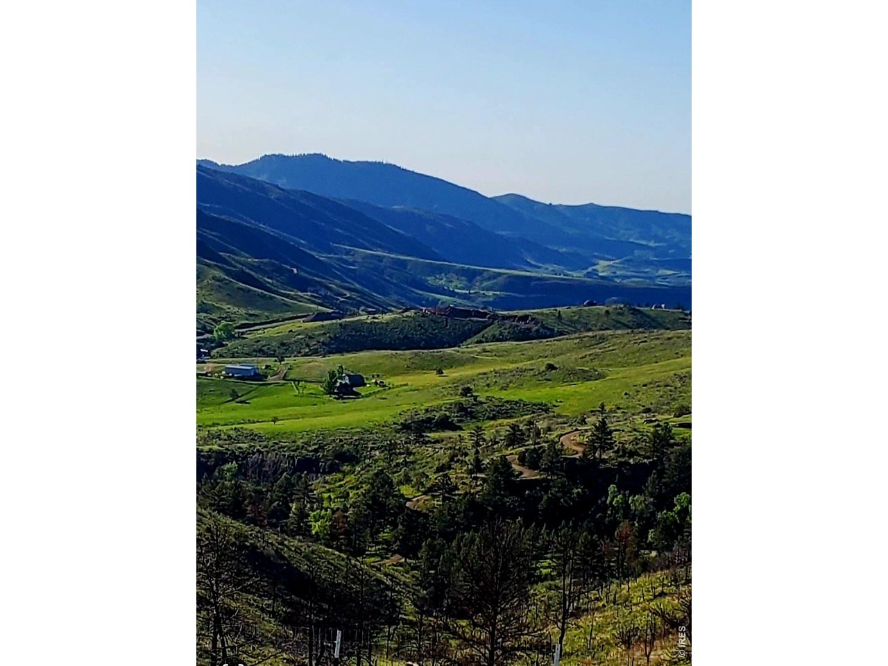 957 Stringtown Gulch Road Bellvue, CO 80512 - Photo 2 of 17 a view of a back yard of the house