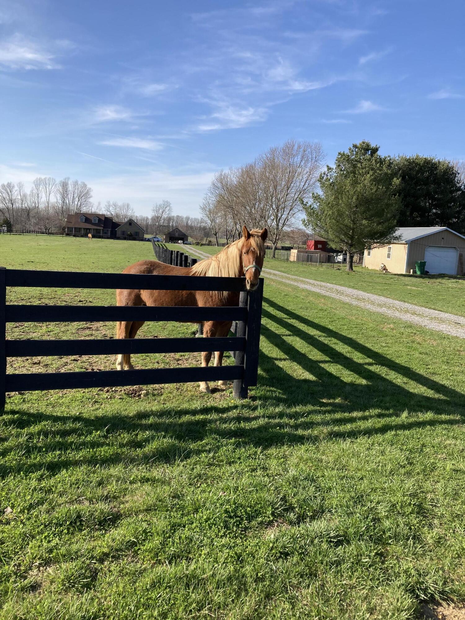 90 Denson Road Liberty, KY 42539 - Photo 1 of 57 IMG_2268