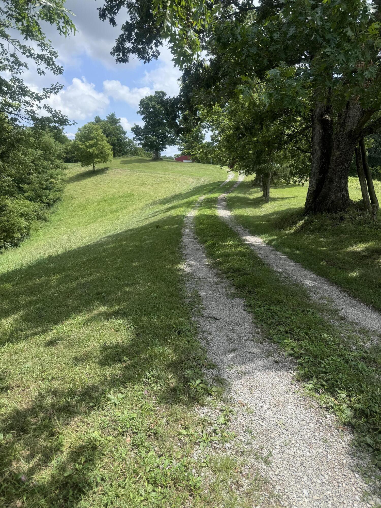 133 Plummer Road Stamping Ground, KY 40379 - Photo 22 of 22 IMG_9596