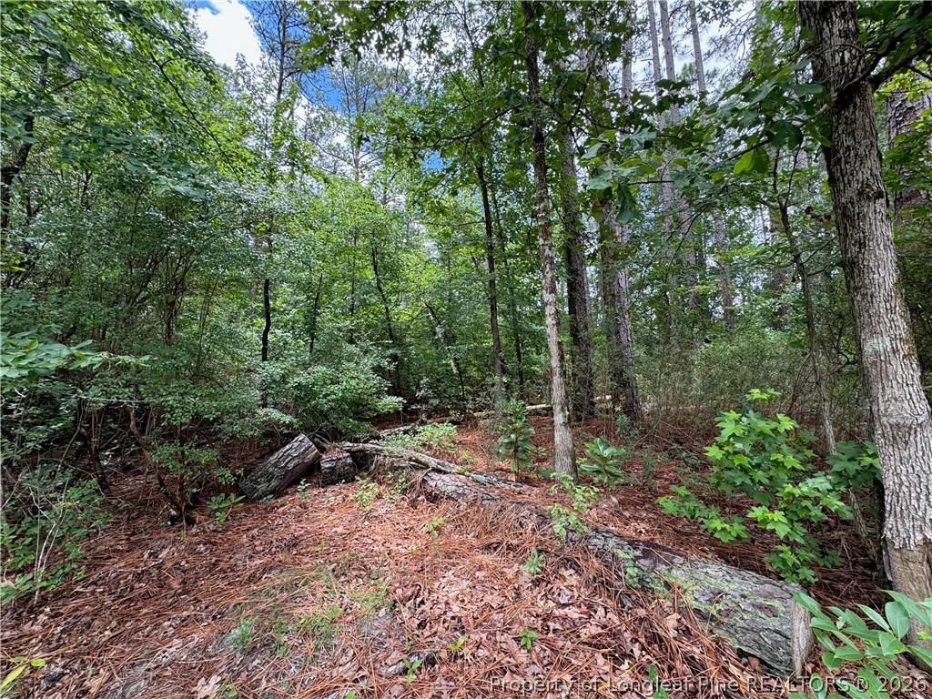 Tbd Myra Road Raeford, NC 28376 - Photo 19 of 23 Lot Interior