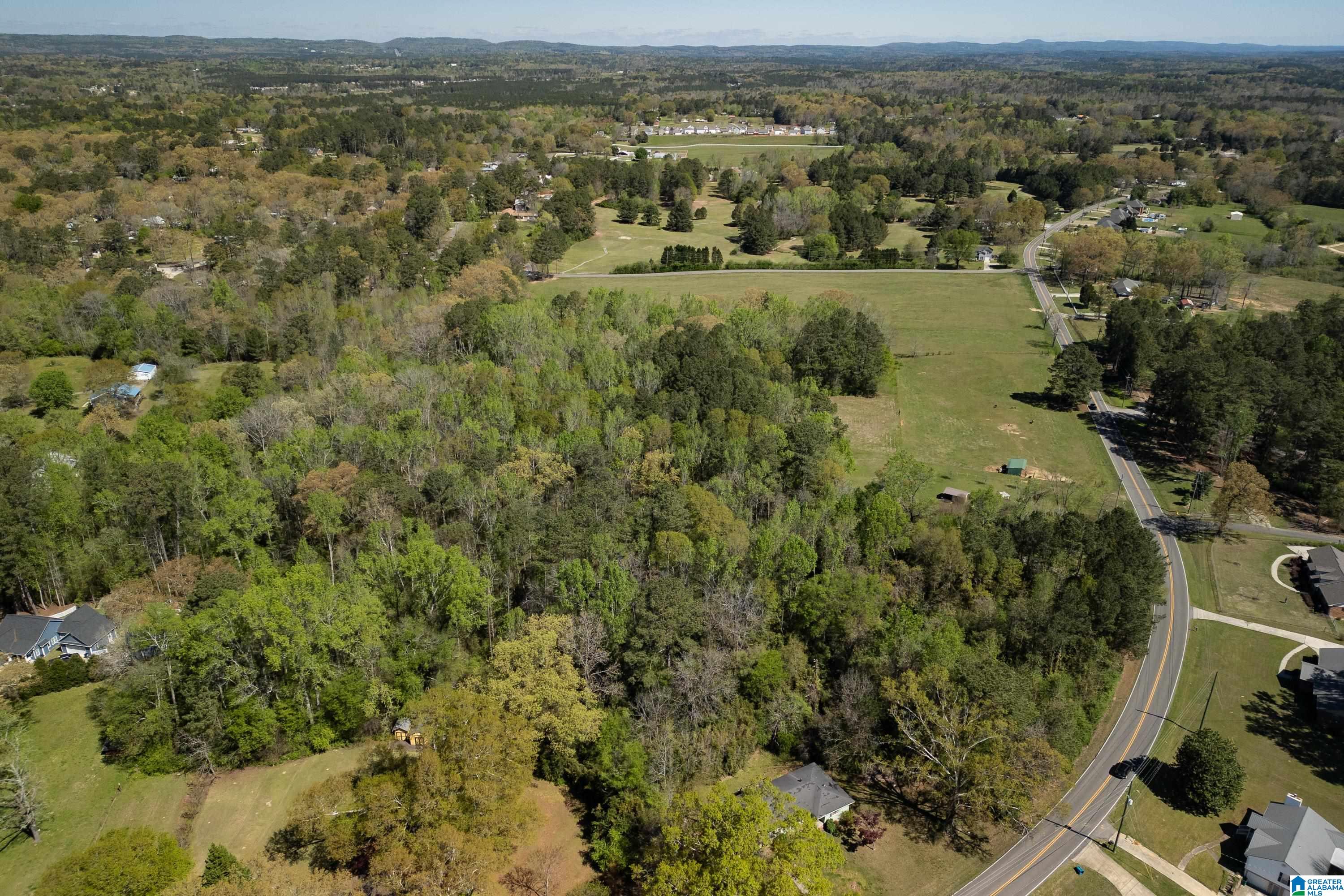 1044 Morris Majestic Road Morris, AL 35116 - Photo 6 of 13