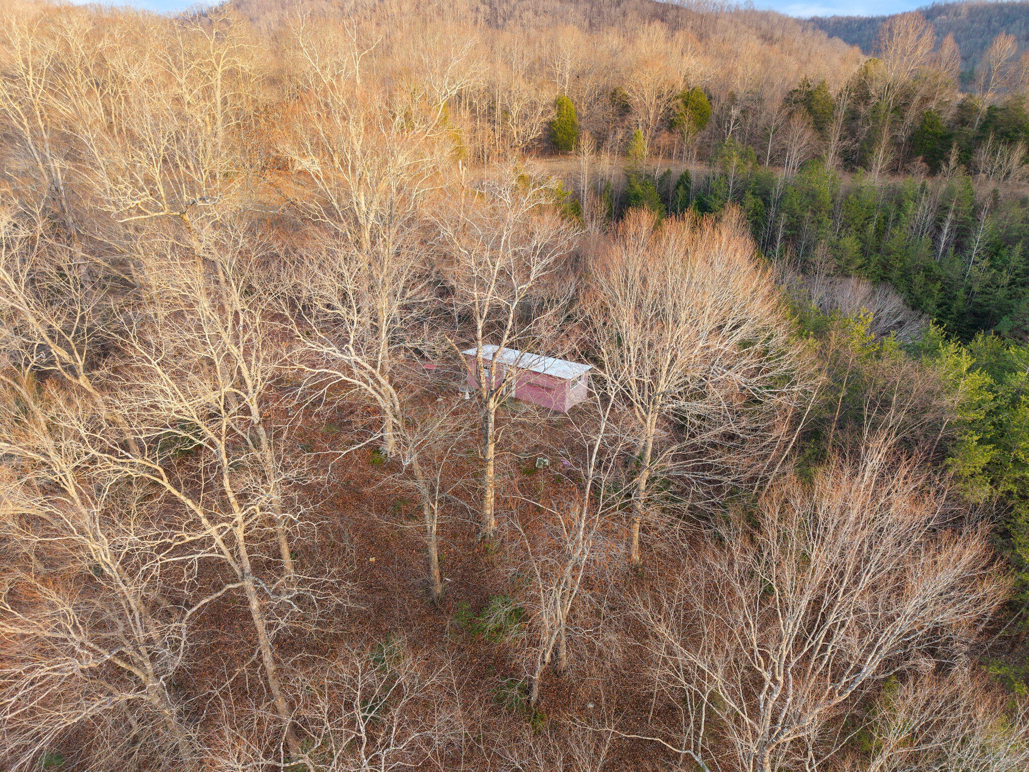 684 Martin Cemetary Road Oneida, KY 40972 - Photo 94 of 96 85-web-or-mls-DJI_20251217163810_0094_D
