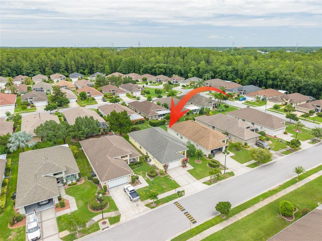 7843 Craighurst Loop New Port Richey, FL 34655 - Photo 26 of 30