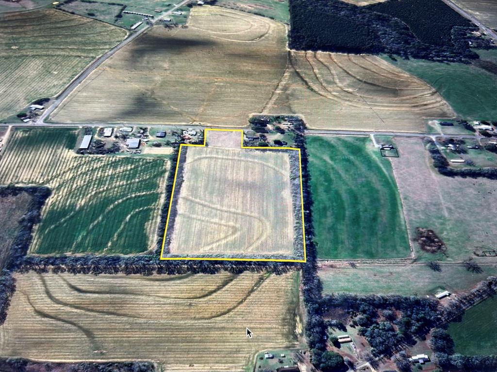 17.99-ac 17.99-ac Wicksburd Road Newton, AL 36352 - Photo 3 of 22