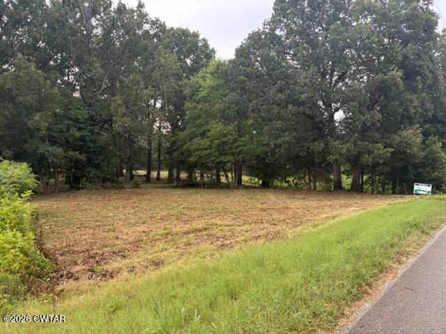 0 McBride Cemetery Road Sardis, TN 38371 - Photo 45 of 54 Road View