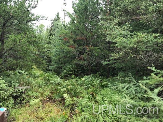 3168 Co Road Champion, MI 49814 - Photo 29 of 43