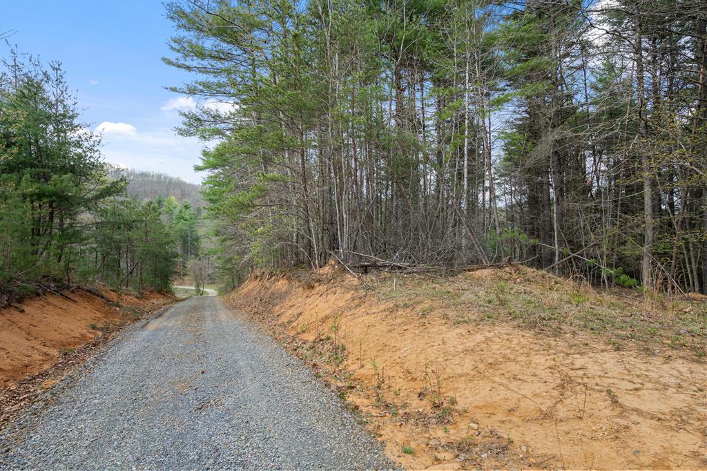 96-ac Cole Mountain Road, Unit 41 Hiwassee, VA 24347 - Photo 51 of 66 Gallery Image 51
