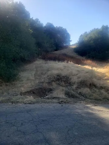 a view of a dry yard with wooden fence