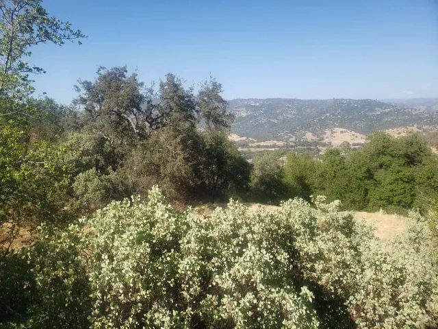 a view of a lake with a city