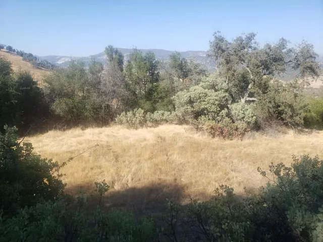a view of yard covered with snow in the background