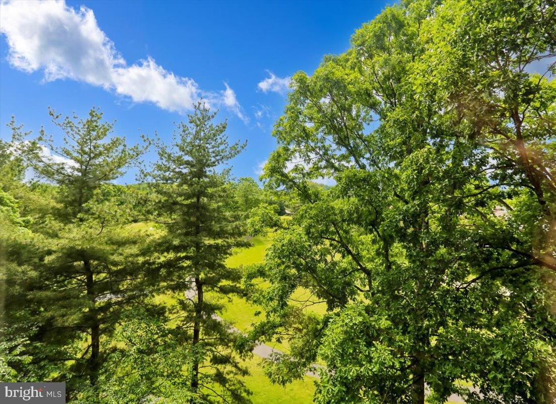 15101 Interlachen Drive, Unit 1614 Silver Spring, MD 20906 - Photo 11 of 41 Actual view from sunroom