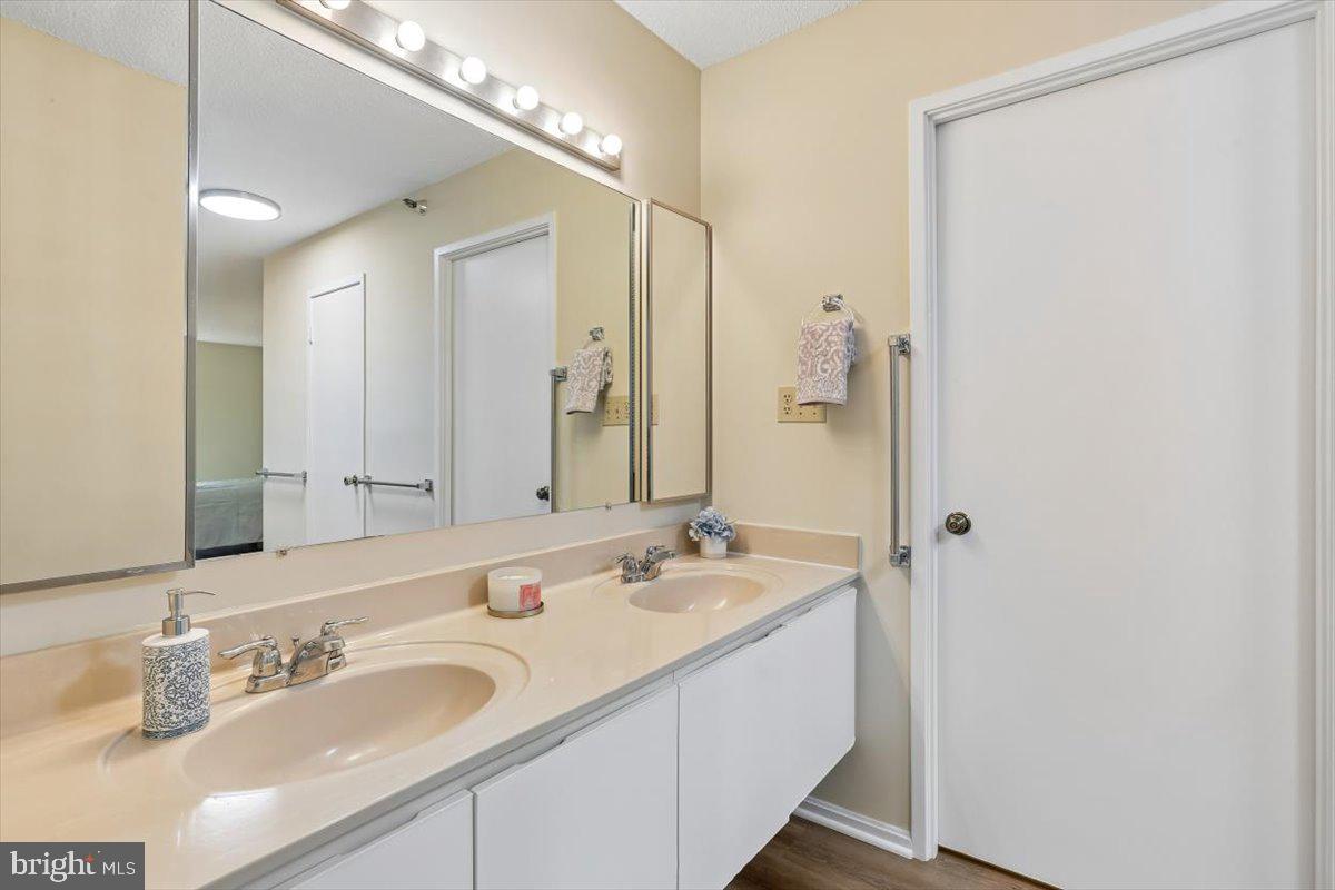 15101 Interlachen Drive, Unit 1614 Silver Spring, MD 20906 - Photo 22 of 41 Primary double sink vanity