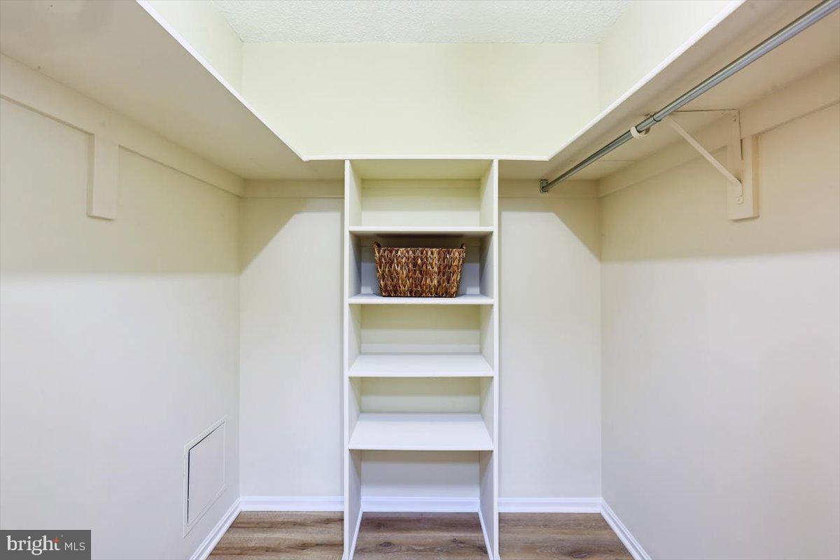 15101 Interlachen Drive, Unit 1614 Silver Spring, MD 20906 - Photo 24 of 41 Primary walk in closet