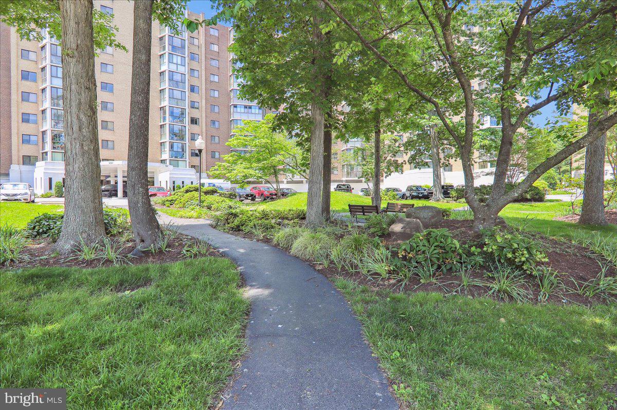 15101 Interlachen Drive, Unit 1614 Silver Spring, MD 20906 - Photo 34 of 41 Walk way & courtyard in front of building