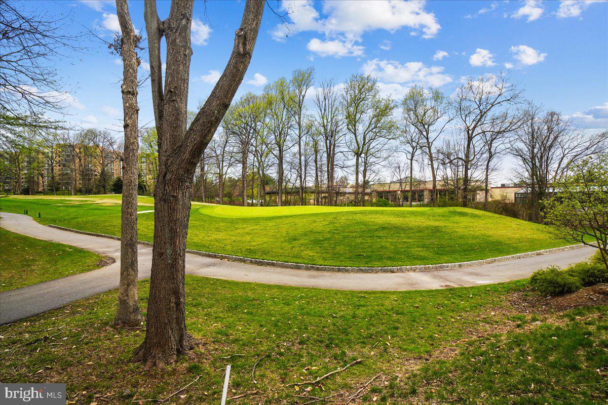 15101 Interlachen Drive, Unit 1614 Silver Spring, MD 20906 - Photo 36 of 41 Golf