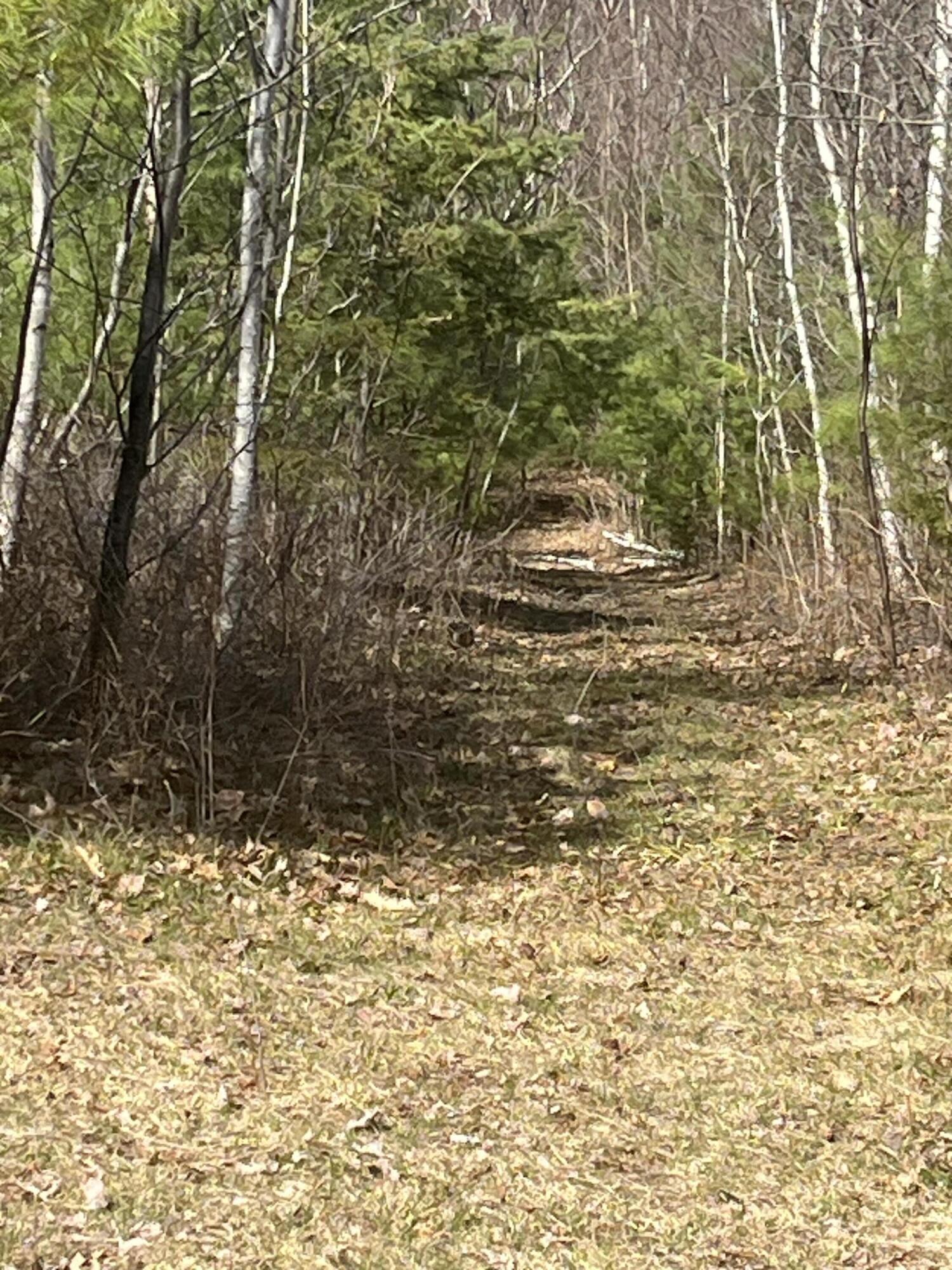 M2-l68 Cards Ridge Road Greenbush, ME 04418 - Photo 3 of 5 IMG_4157