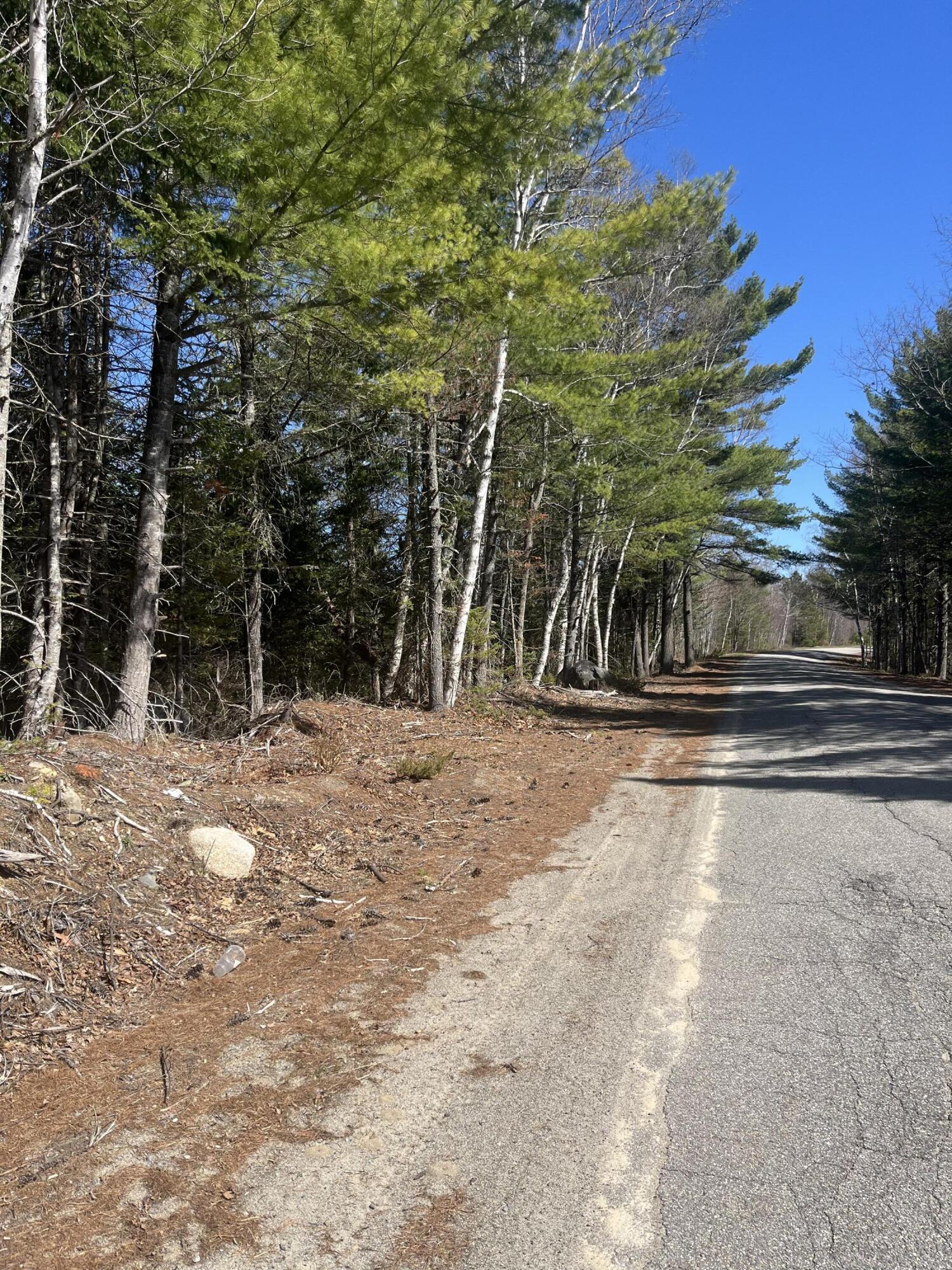 M2-l68 Cards Ridge Road Greenbush, ME 04418 - Photo 4 of 5 IMG_4156