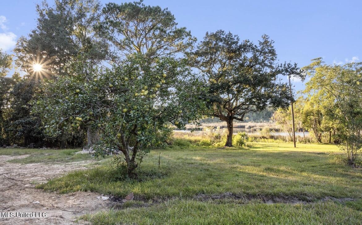 4024 Castenera Avenue Moss Point, MS 39563 - Photo 45 of 59 IMG_1304