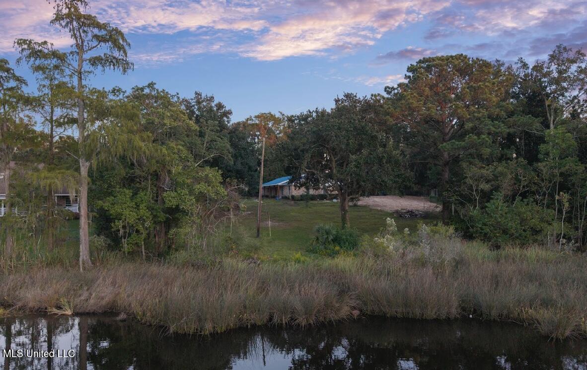 4024 Castenera Avenue Moss Point, MS 39563 - Photo 46 of 59 IMG_1305