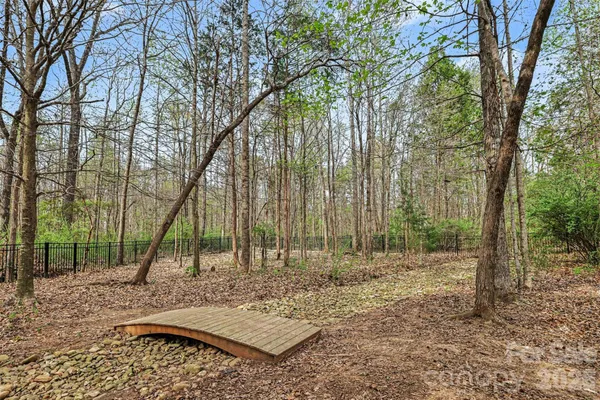 a view of a backyard with trees