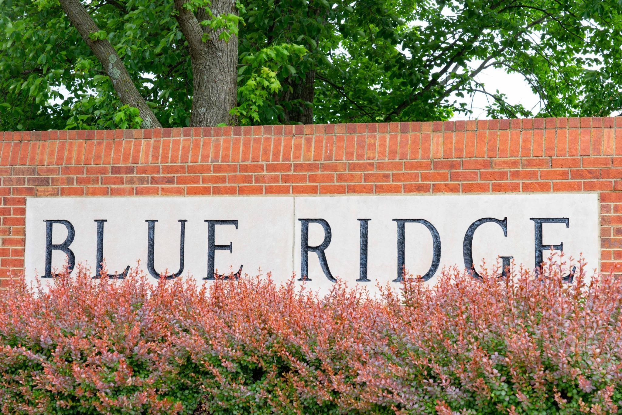 116 Foxcross Road Hendersonville, TN 37075 - Photo 56 of 57