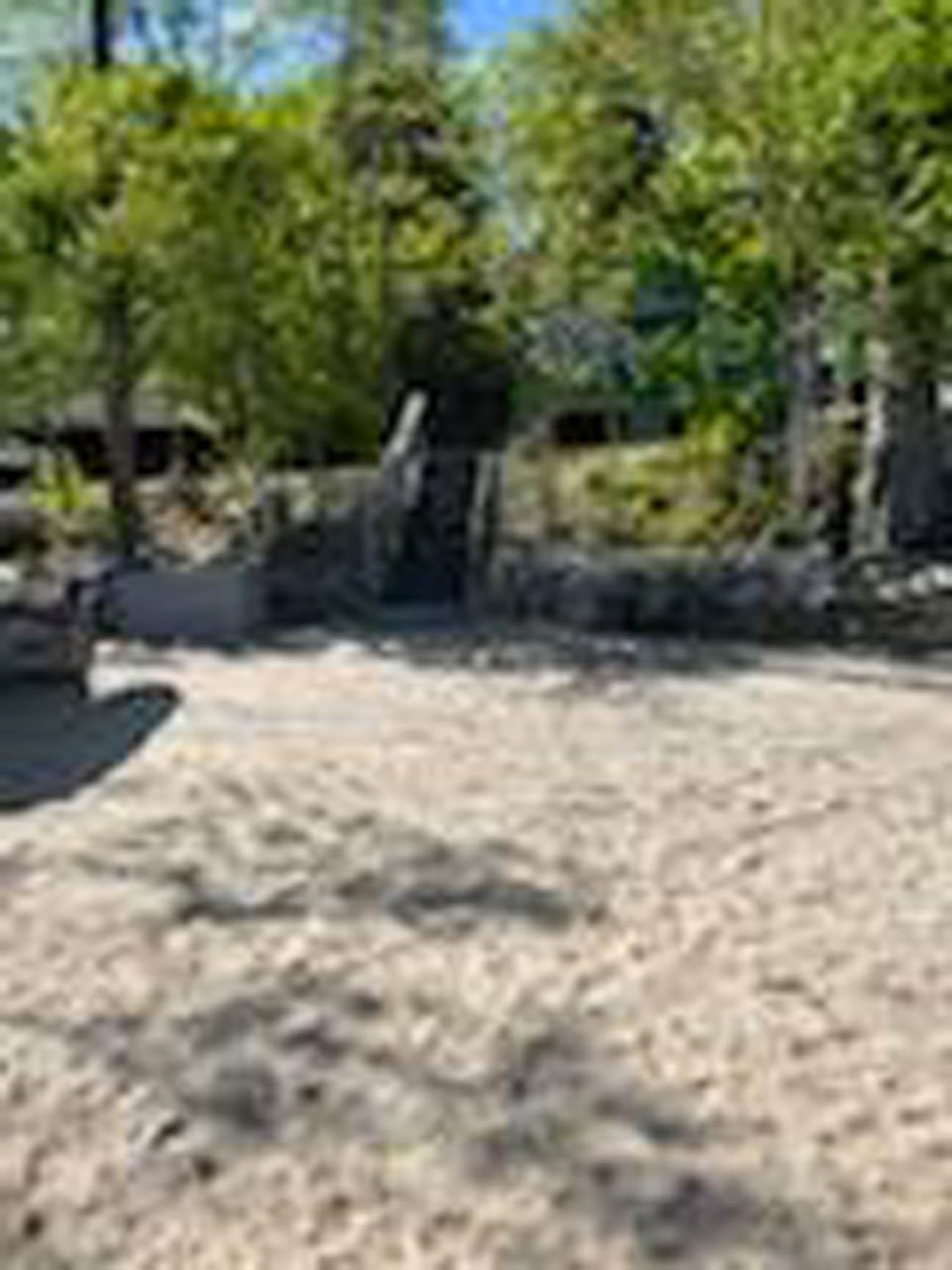 155 Whittemore Point Road South Bristol, NH 03222 - Photo 2 of 20