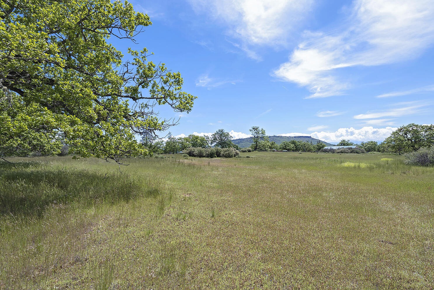 13084 Perry Road White City, OR 97503 - Photo 4 of 22 Perry Rd_026 copy
