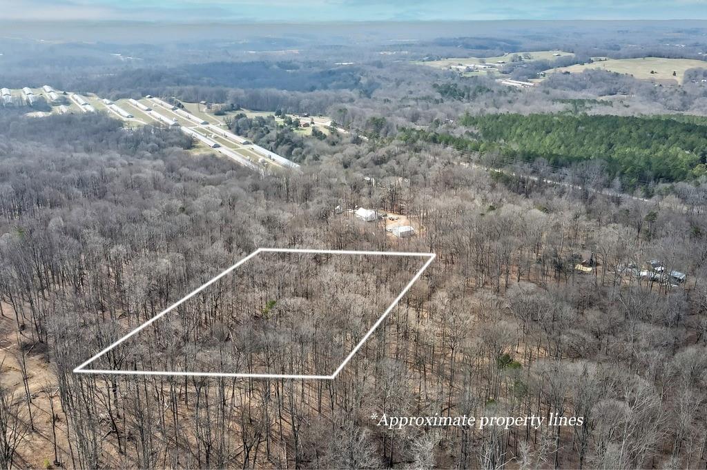 0 Scales Creek Road Homer, GA 30547 - Photo 3 of 13 a backyard of a house
