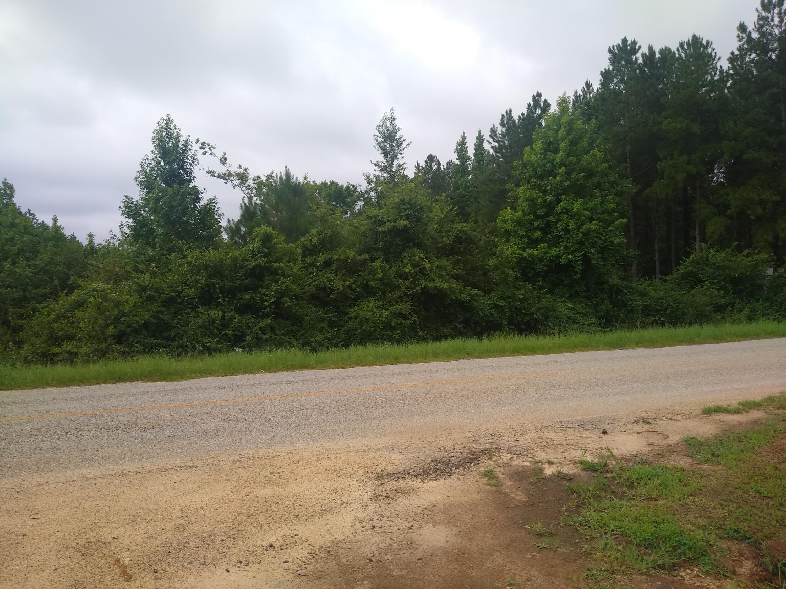 3 Mark Walden Road Blythe, GA 30805 - Photo 5 of 5