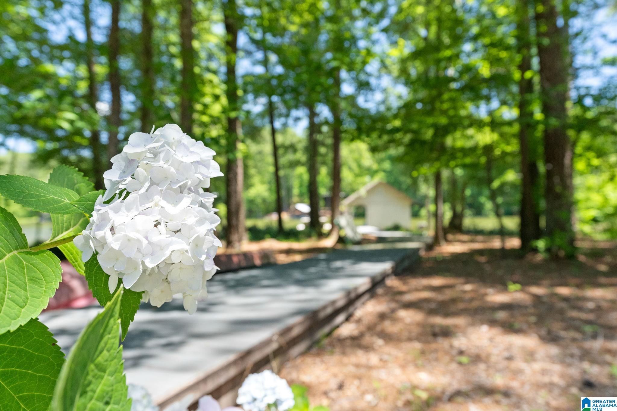 1726 Smyer Lake Road Birmingham, AL 35242 - Photo 54 of 72