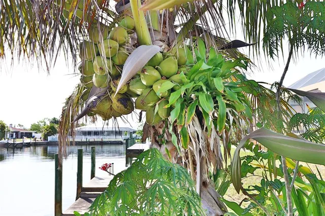 $799,000 | 107 Sinclair Street Southeast, Port Charlotte, FL 33952