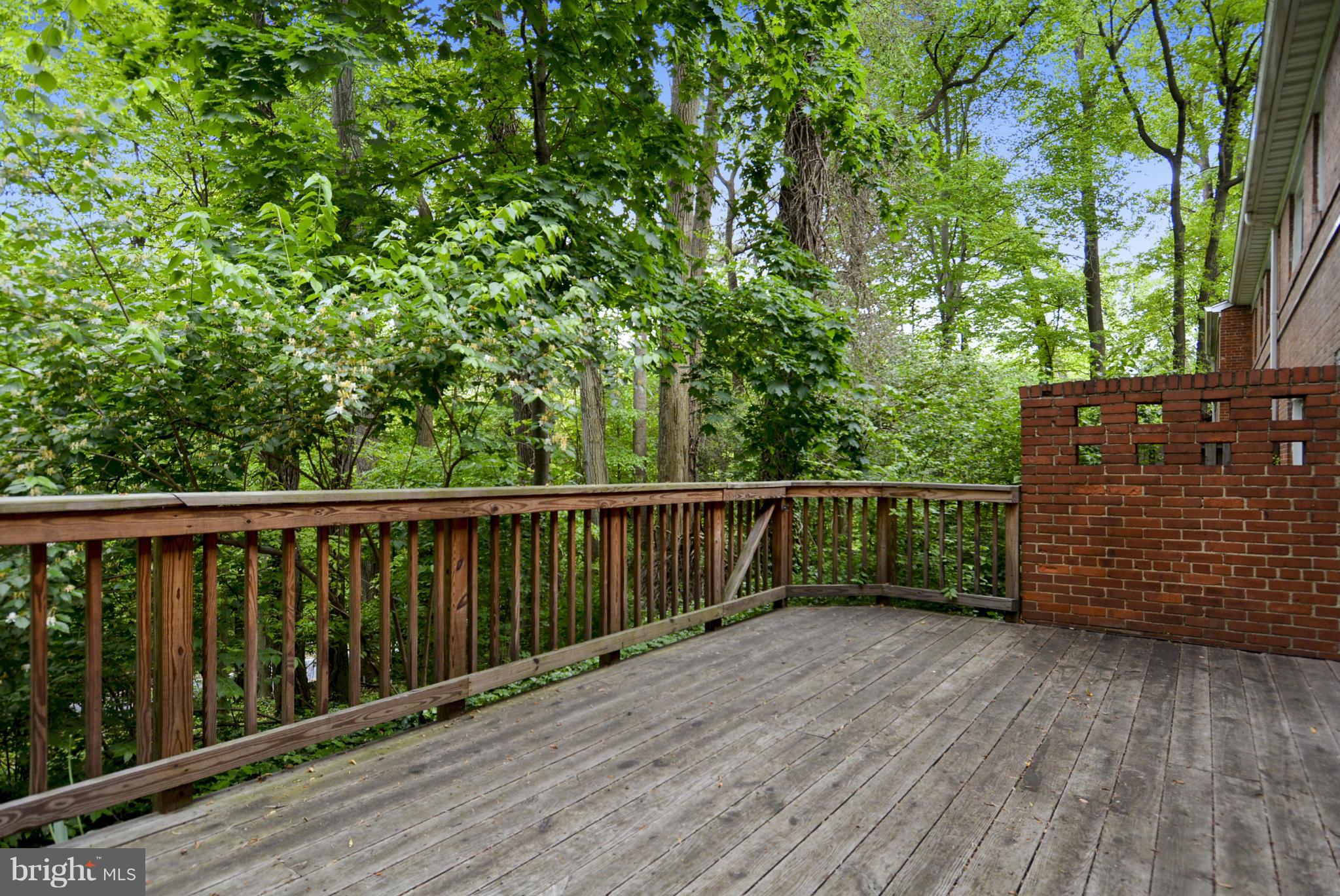 8507 Bradford Road, Unit 52 Silver Spring, MD 20901 - Photo 16 of 21 Exterior (Rear)