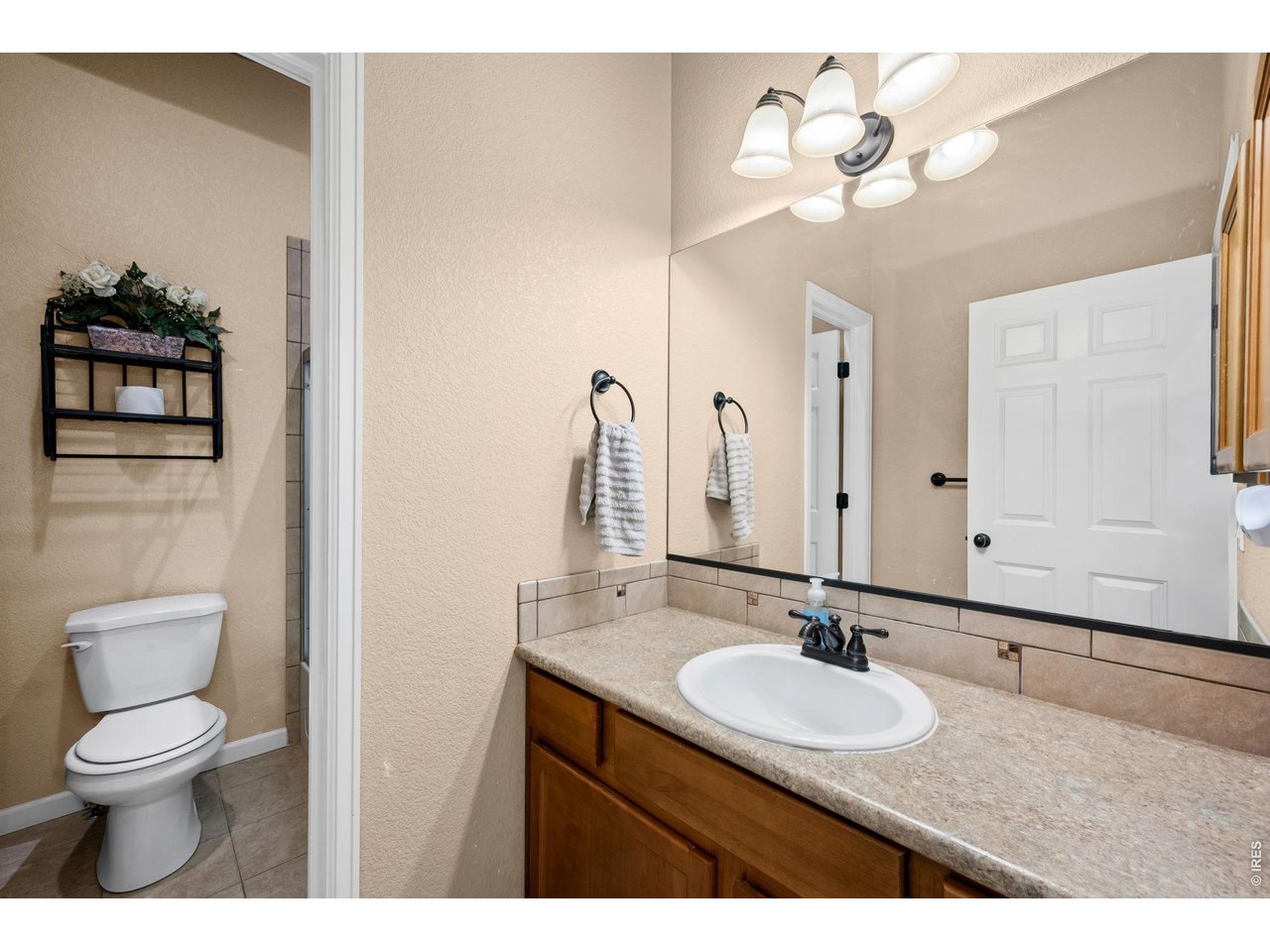 183 Kitty Hawk Court Windsor, CO 80550 - Photo 9 of 36