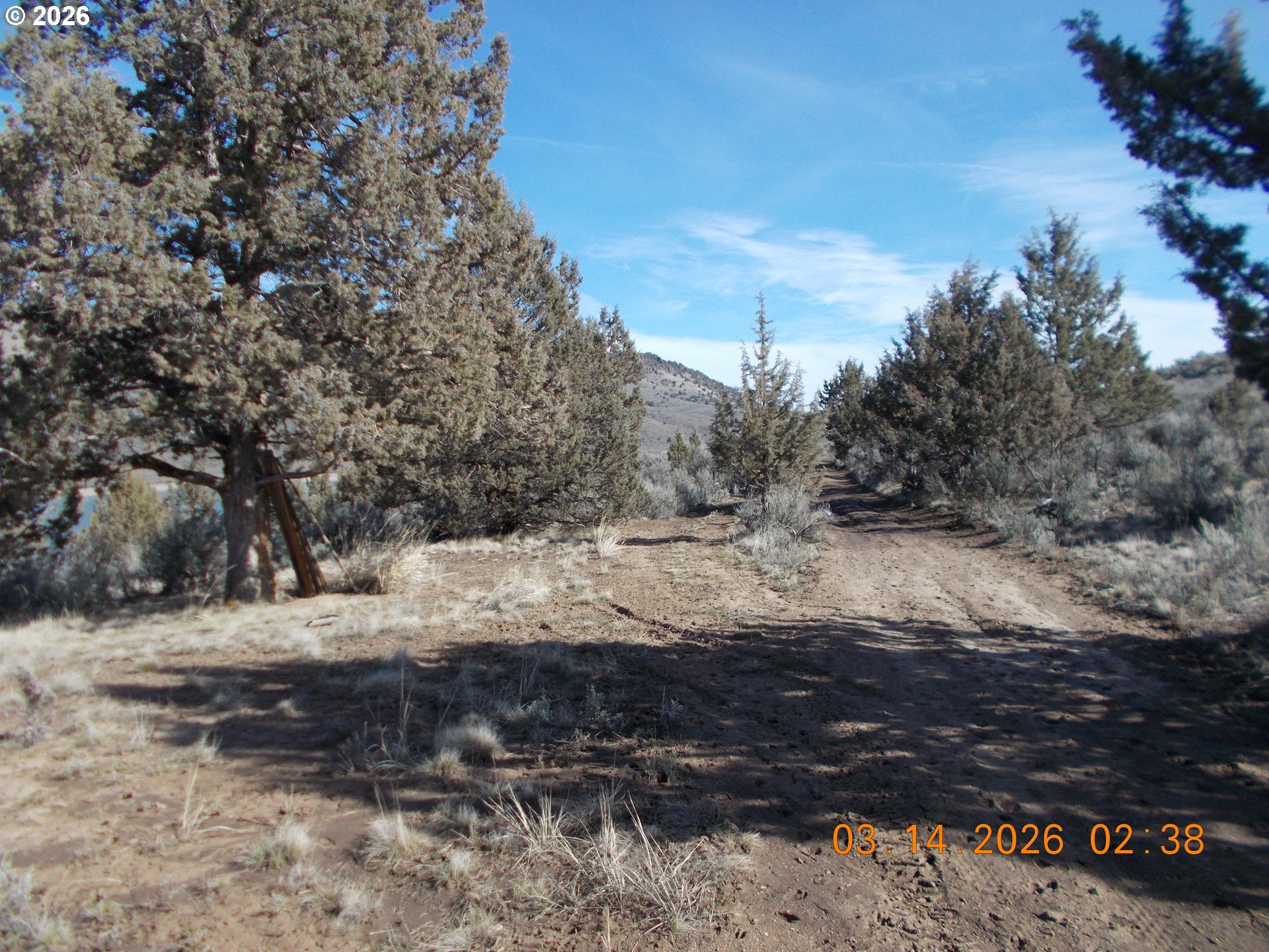 31849 Rice Road Unity, OR 97884 - Photo 2 of 5 a view of dirt road with a building in the background