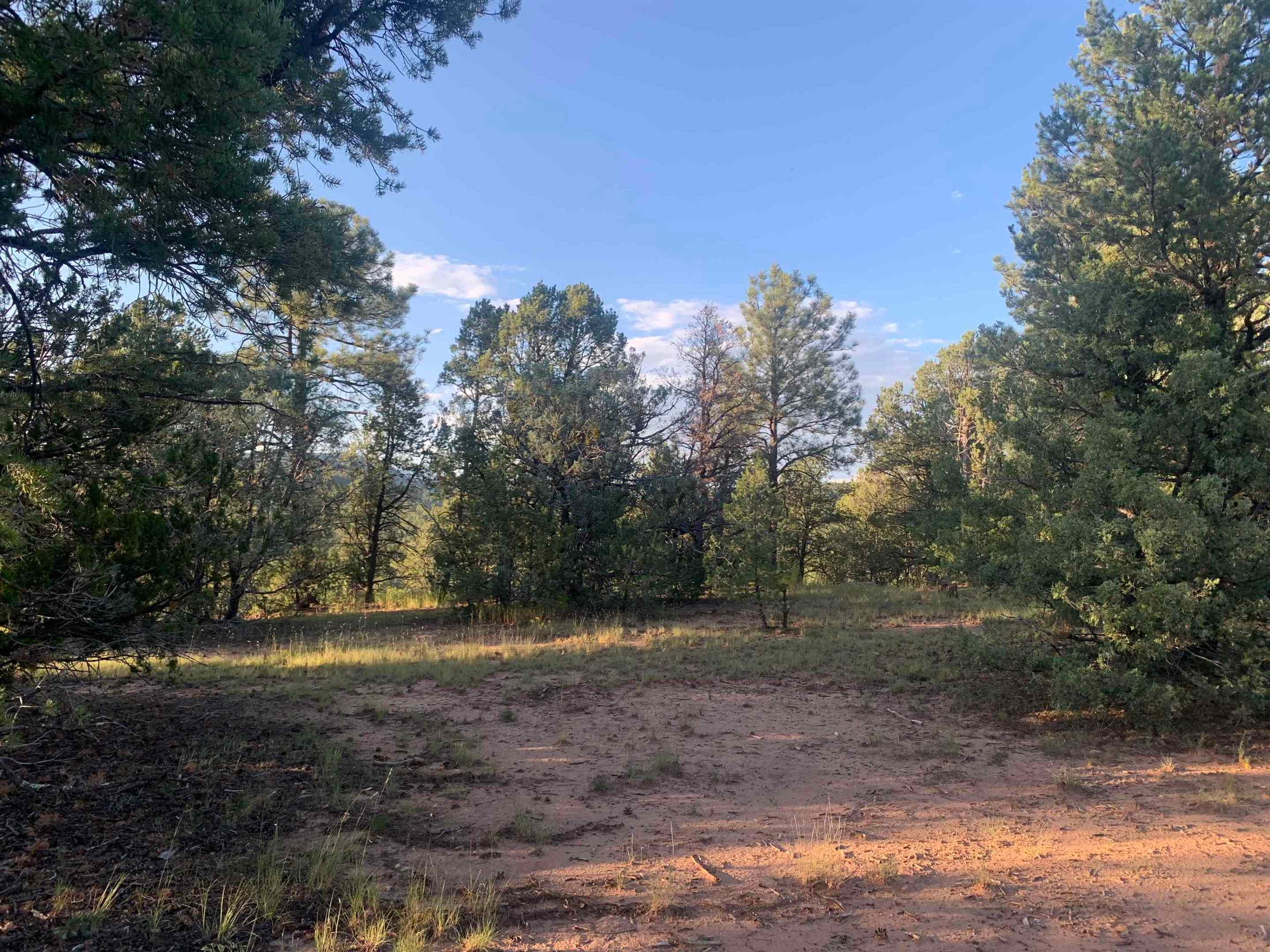 65 La Joya Road Glorieta, NM 87535 - Photo 1 of 1