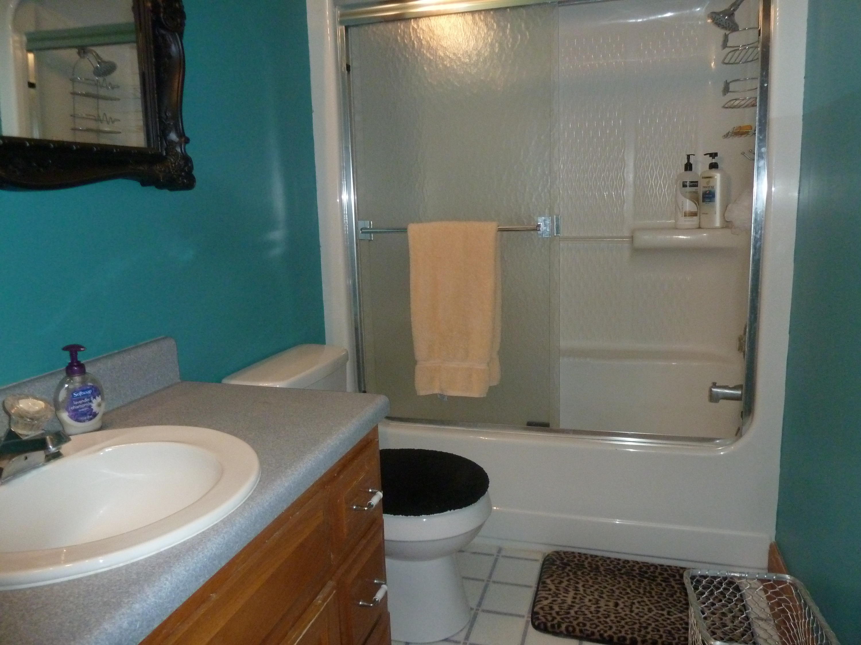 200 Leaning Oak Road Boones Mill, VA 24065 - Photo 20 of 52 17 Entry Full Bath