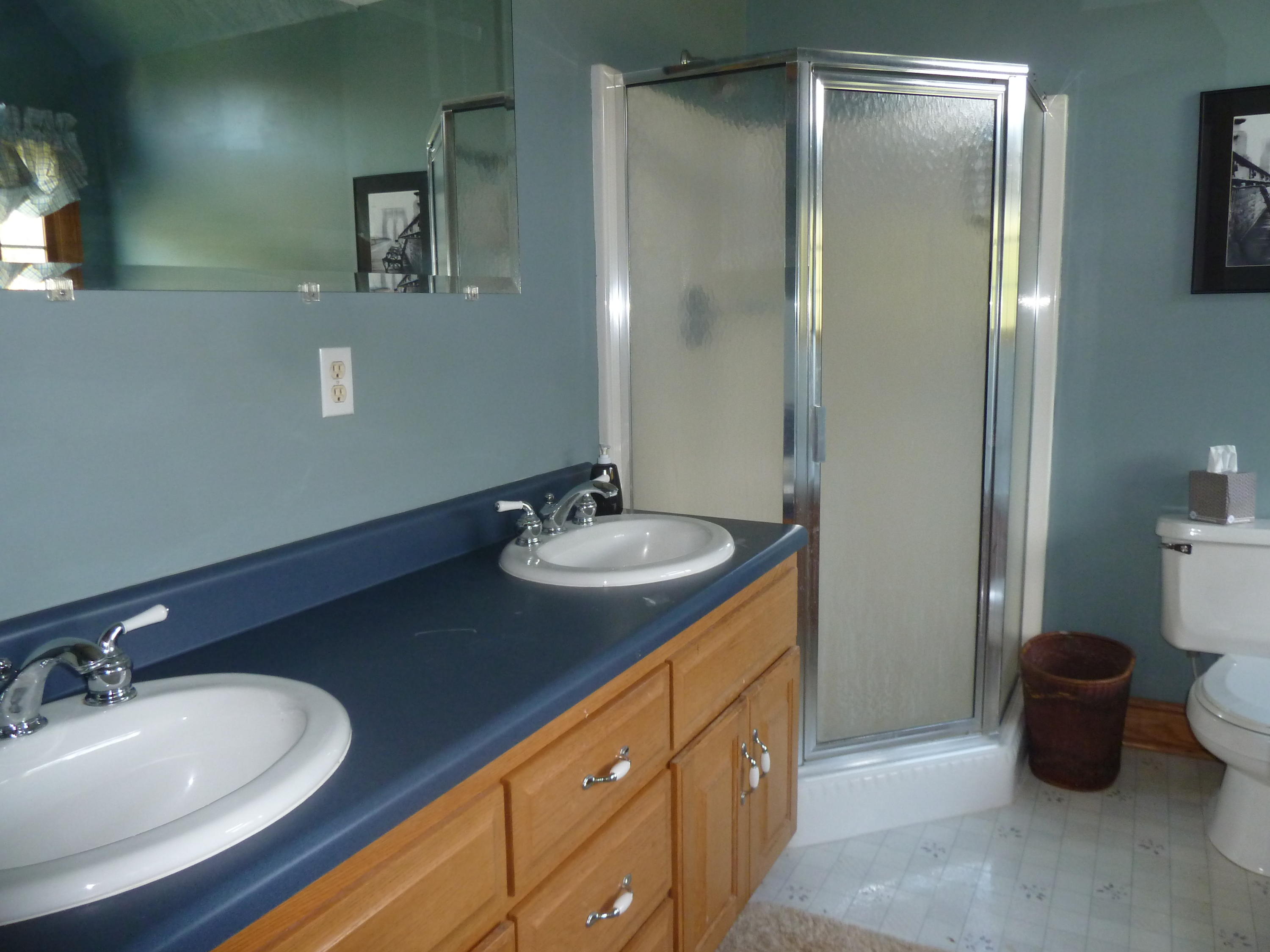 200 Leaning Oak Road Boones Mill, VA 24065 - Photo 27 of 52 23 Master Bath