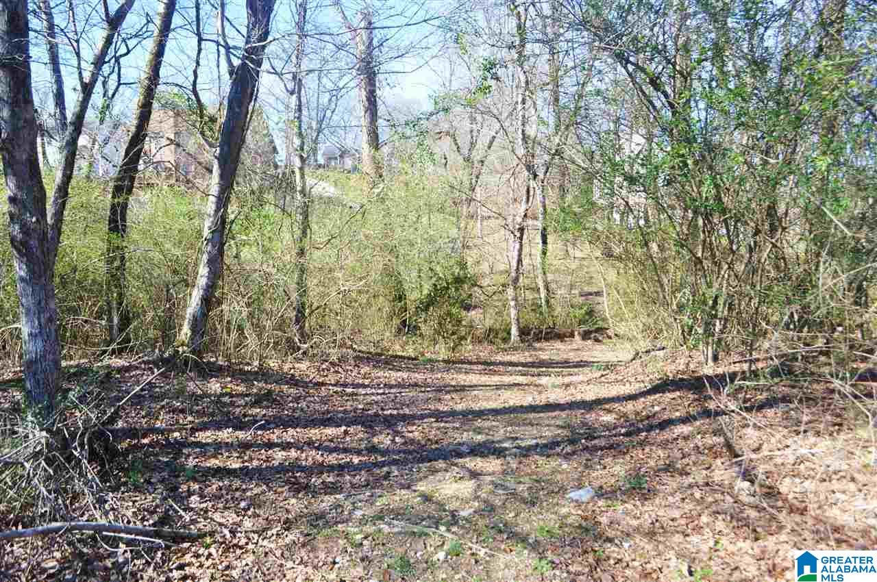 263 Creekside Lane Pelham, AL 35124 - Photo 29 of 34