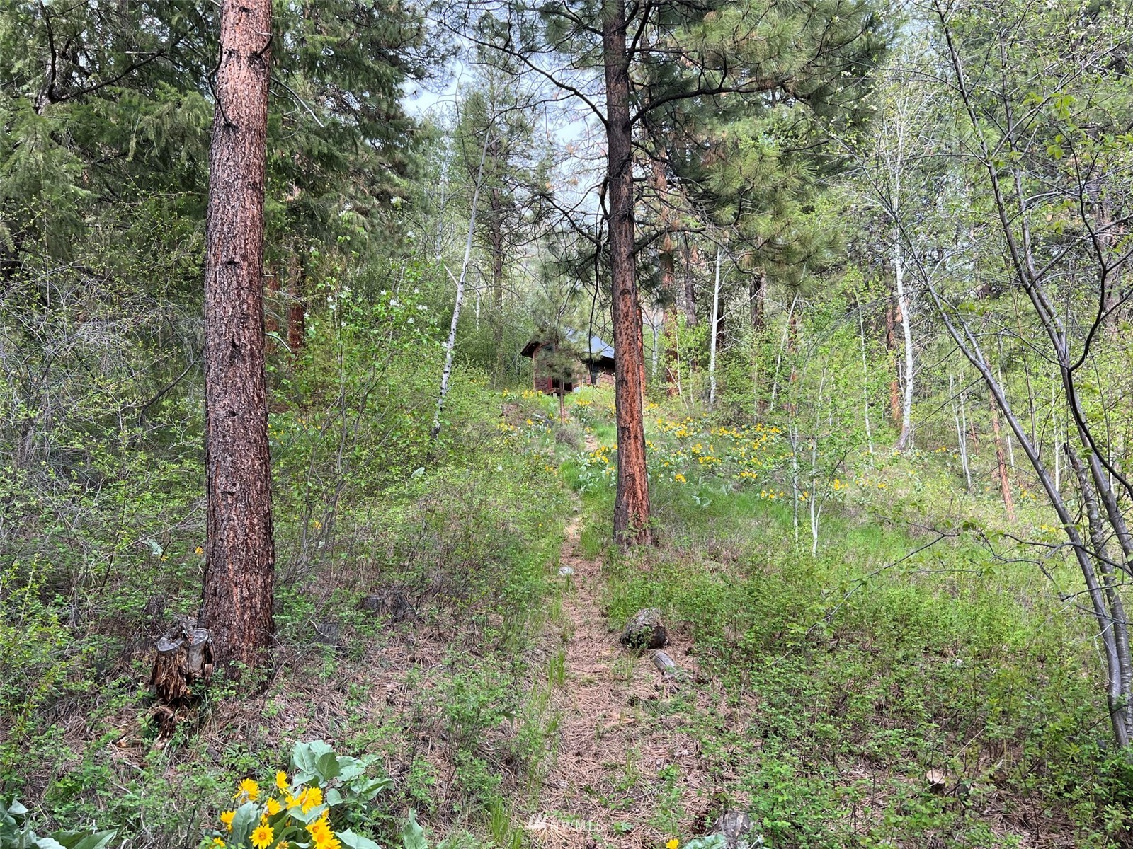 22 Trillium Road Winthrop, WA 98862 - Photo 31 of 40 a view of an outdoor space and trees all around