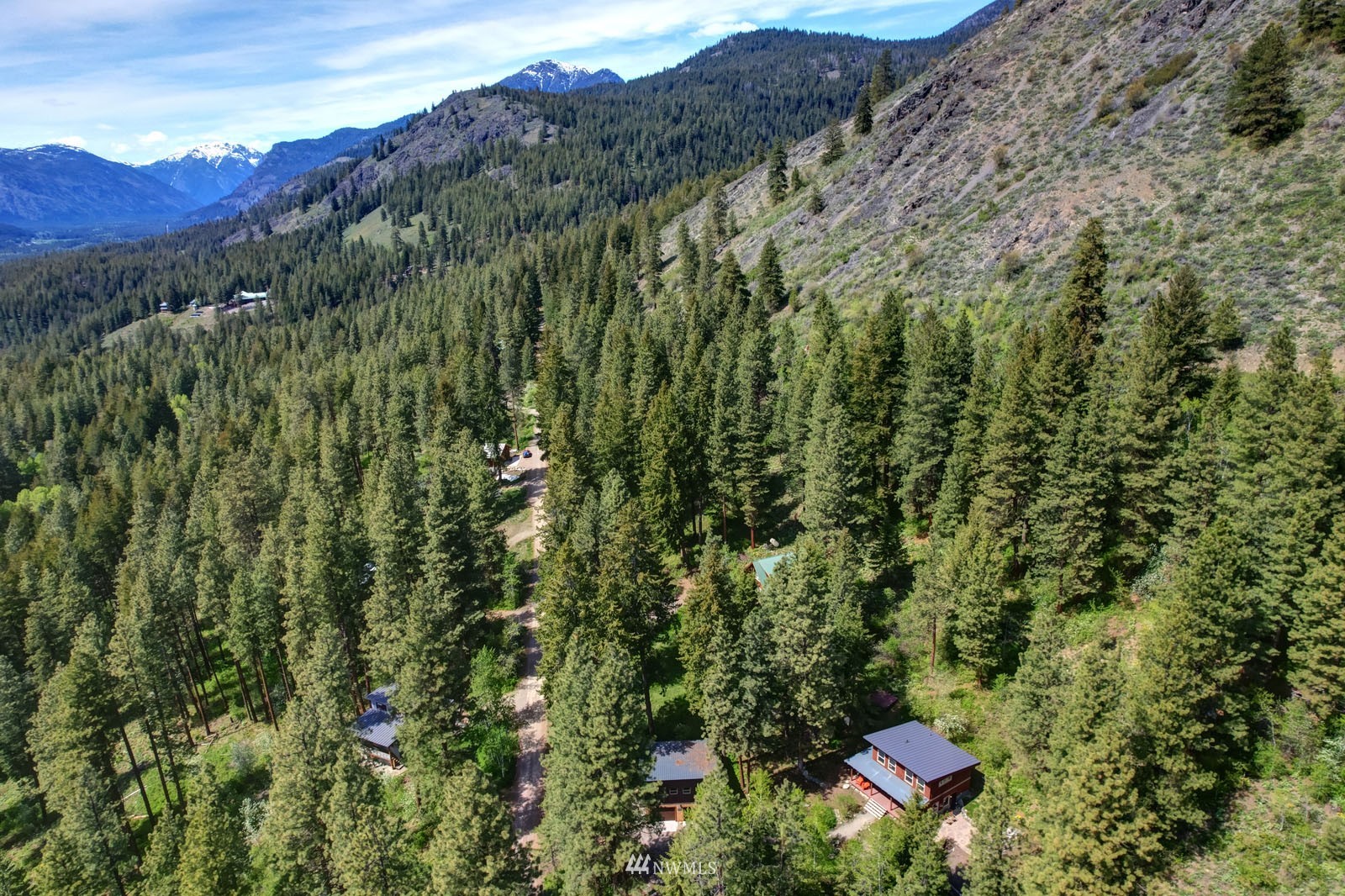 22 Trillium Road Winthrop, WA 98862 - Photo 5 of 40 a view of a lush green forest with a house