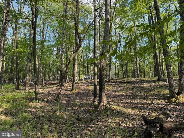 $6,500 | 58 Jay Peak Lane, Zion Grove, PA 17985