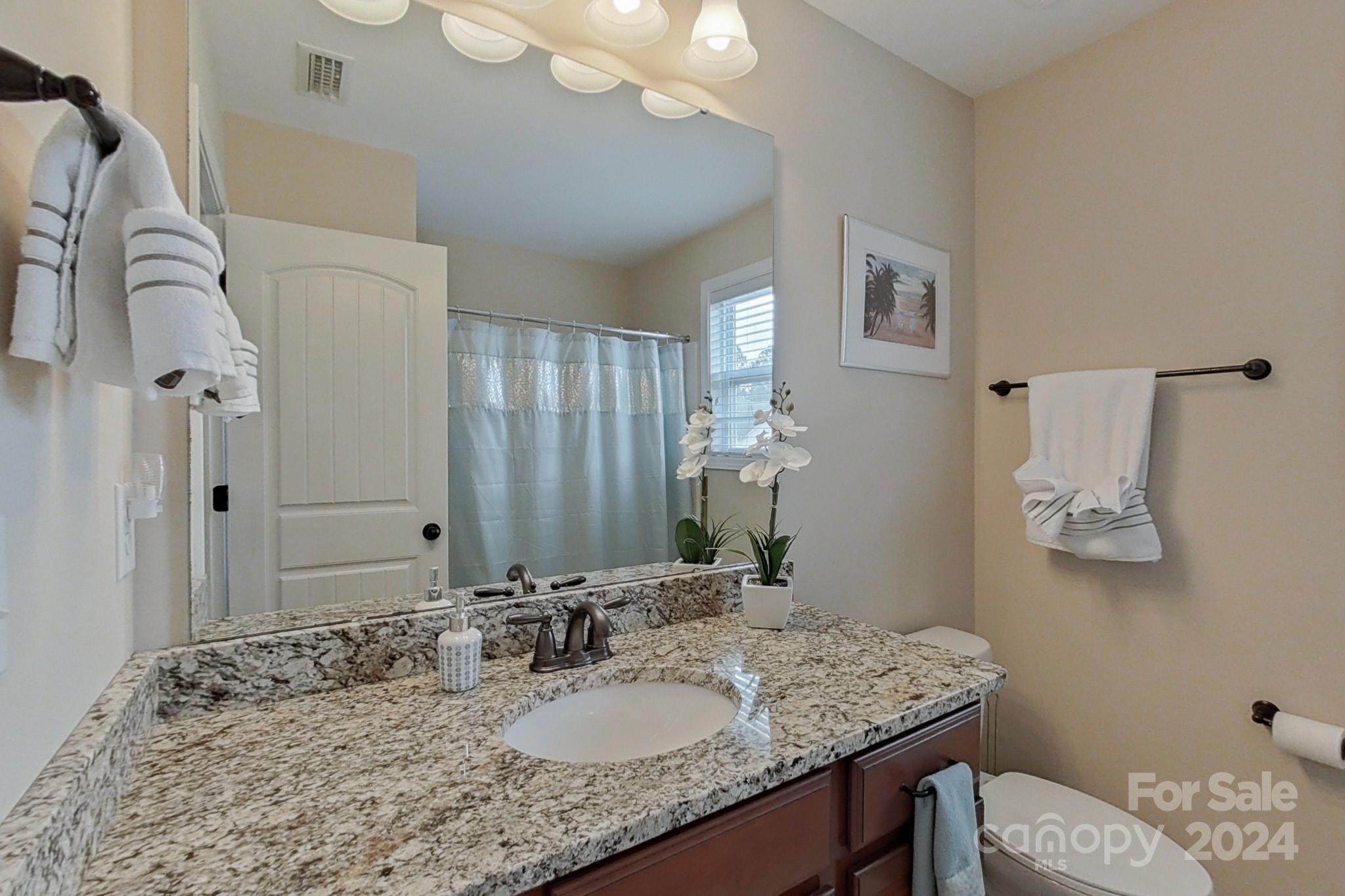 79007 Ridgehaven Road Lancaster, SC 29720 - Photo 33 of 48 a bathroom with a granite countertop sink a toilet and mirror