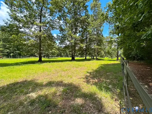 a view of a park with large trees
