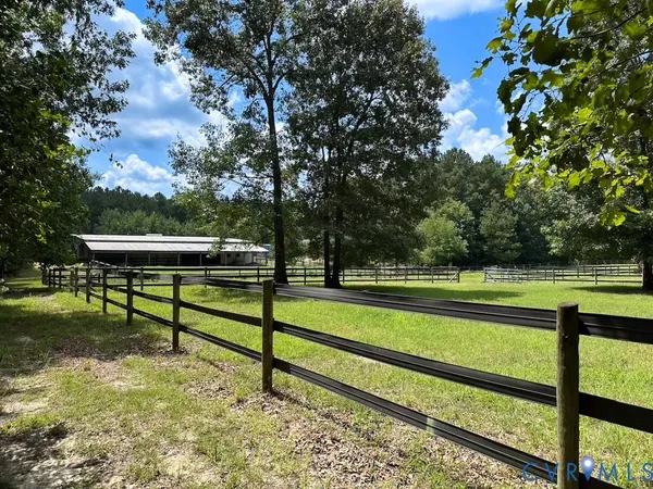 a view of a park with large trees