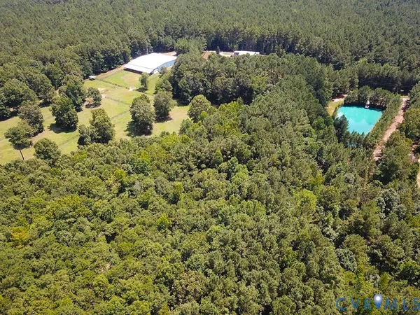 a view of forest