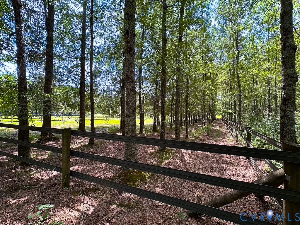 4373 Newville Road Waverly, VA 23890 - Photo 38 of 45