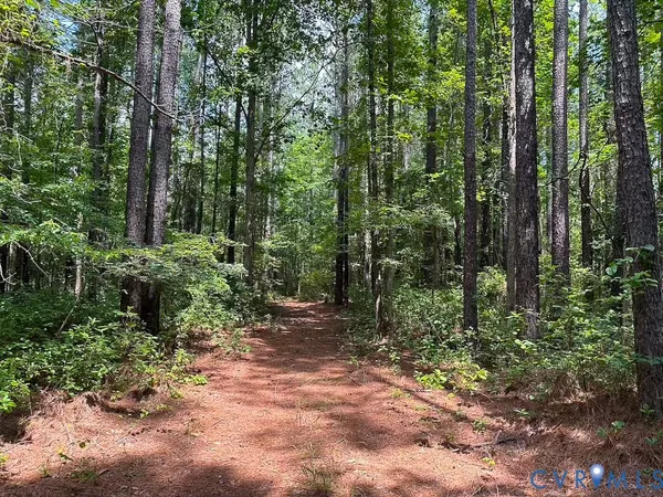a view of outdoor space and trees